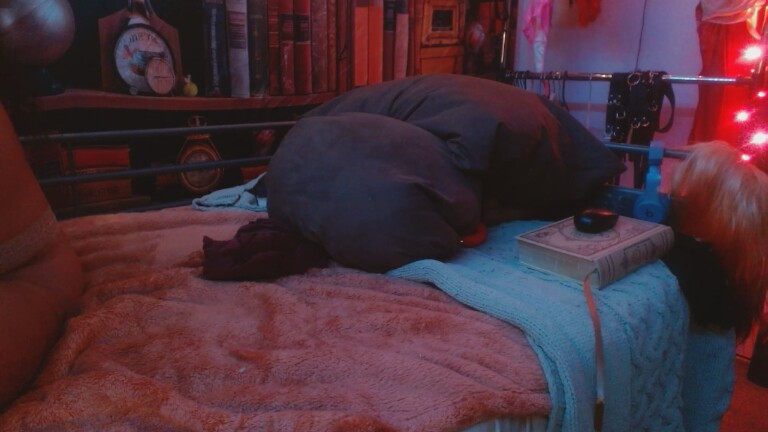 VegaVyxen_22's Streamate show and profile